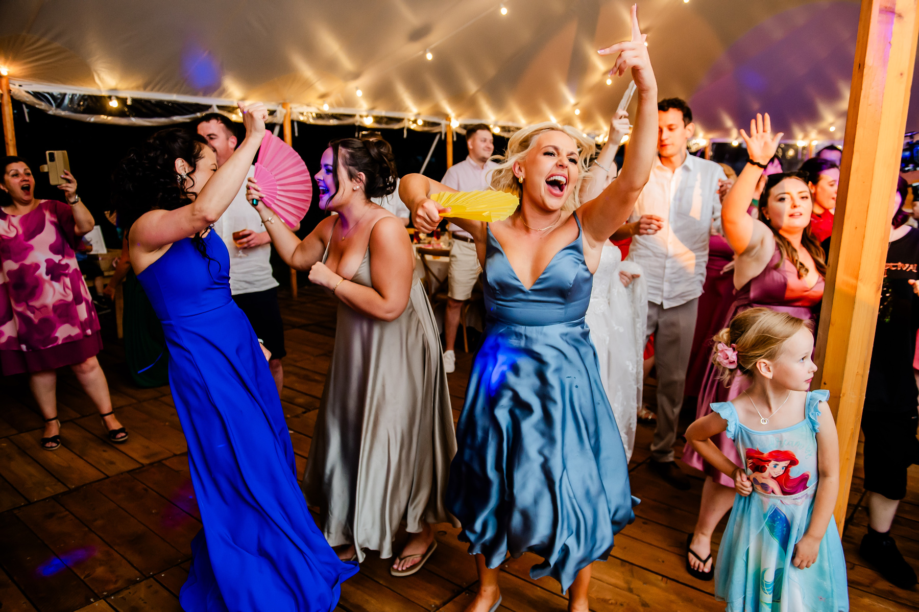 Wedding Party 229